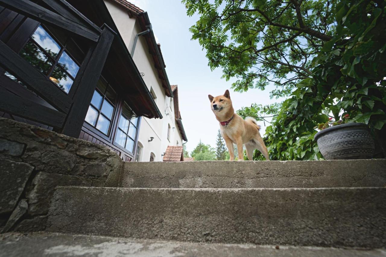 Penzion Onyx Český Krumlov Exterior foto