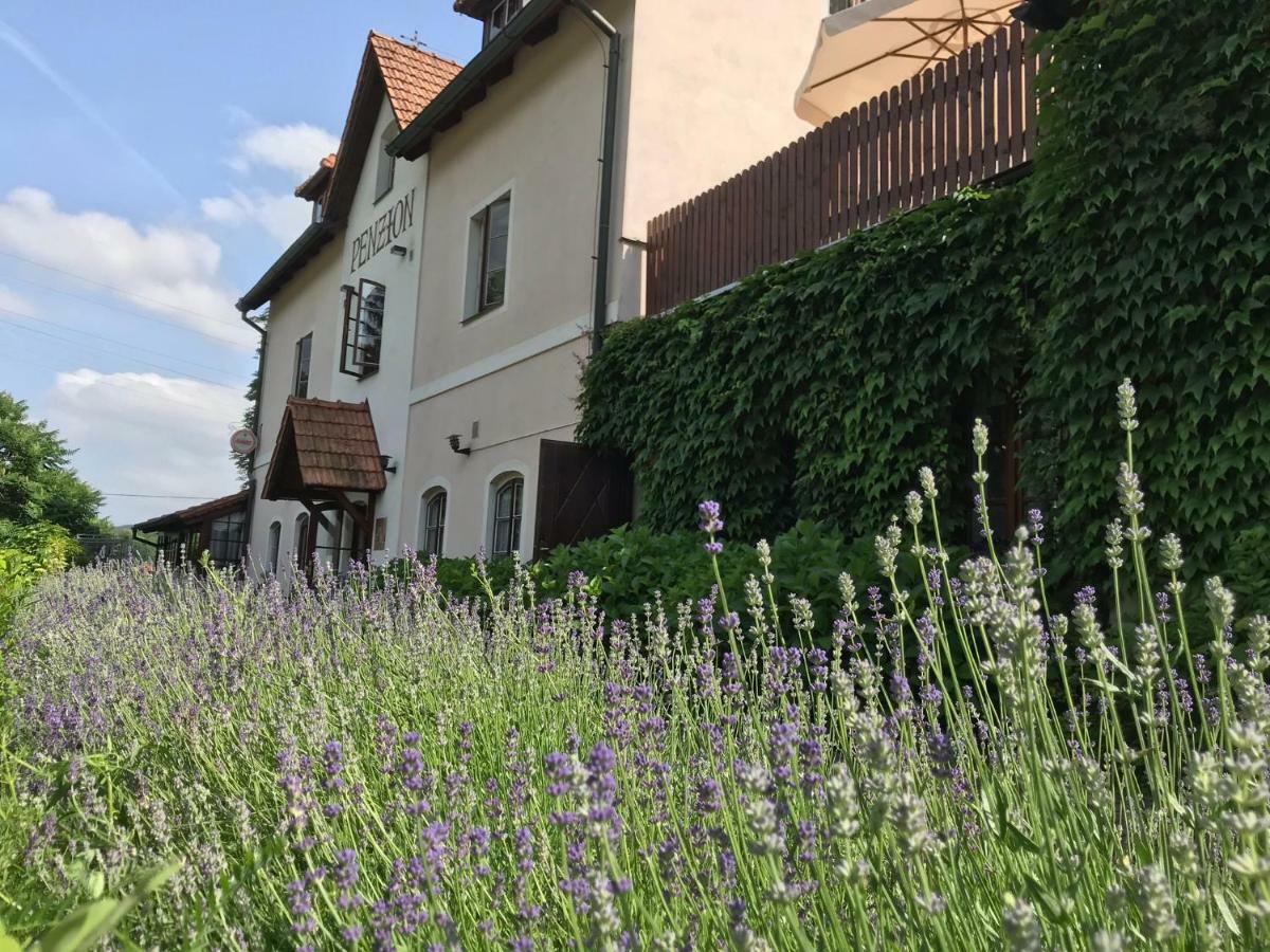 Penzion Onyx Český Krumlov Exterior foto